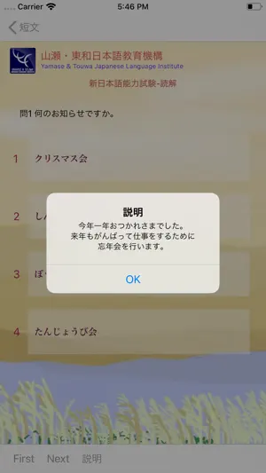 N4読解問題集