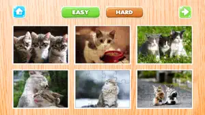 猫 谜 游戏 动物 拼图 谜题 为 成年人