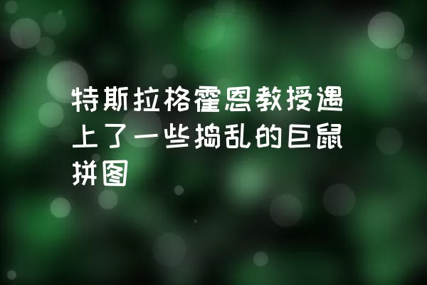 特斯拉格霍恩教授遇上了一些捣乱的巨鼠拼图