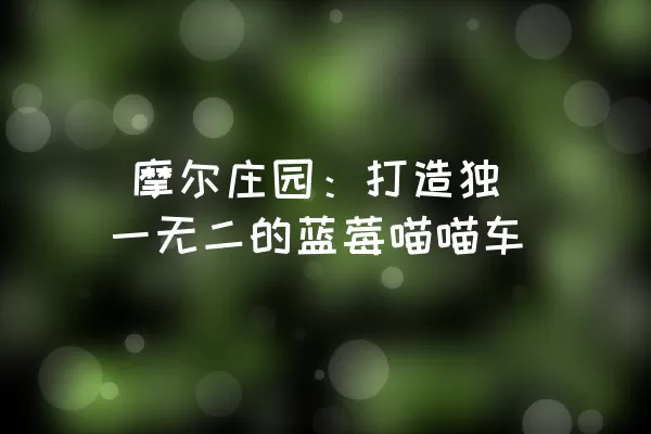  摩尔庄园：打造独一无二的蓝莓喵喵车