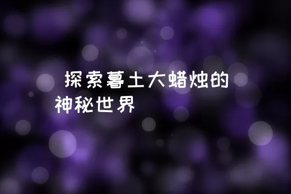  探索暮土大蜡烛的神秘世界